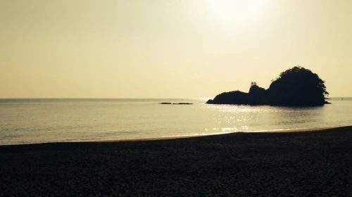 hiwasa_2014-01-03.jpg