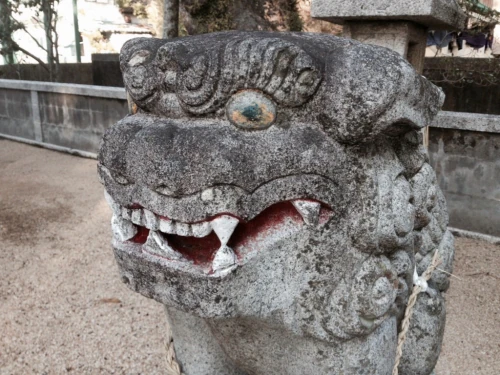 hiwasa_2014-01-04.jpg