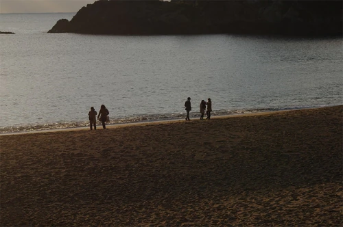 hiwasa_20150101_4.jpg