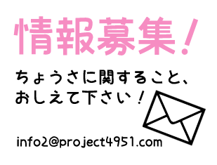 info2_mail.png