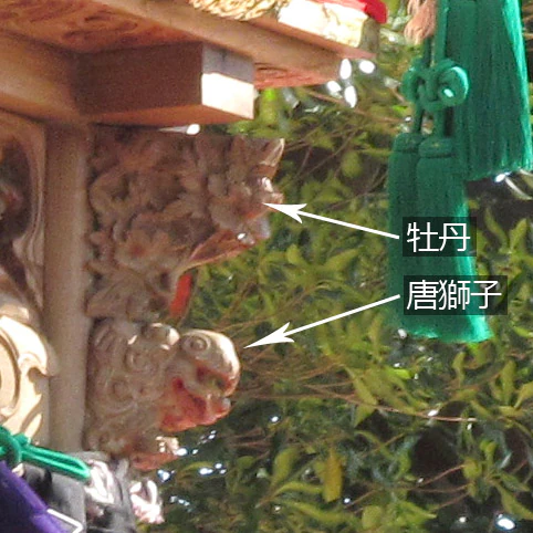 okugawa_kibana.jpg